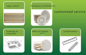 Các Nhà Sản Xuất Trực Tiếp Khối Lượng Đặt Hàng Tối Thiểu Thấp Hộp Đóng Gói Bento Có Thể Phân Hủy - Product Image 5