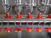 DS-360QSB Speciaal gevormde zakvul- en verzegelmachine voor vloeistoffen, sauzen en pasta's