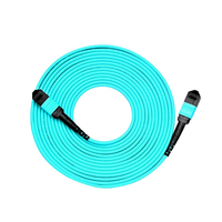 Cavalier à fibre optique MPO-MPO haute densité OEM personnalisé SM OM3 OM4 OM5 Câble de coffre 8F 12F 24F MPO MTP Cordon de raccordement