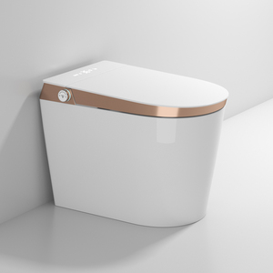 Fascia alta europea in ceramica oro linea intelligente automatico in ceramica Bidet tazza elettrico di lusso bagno WC Smart WC