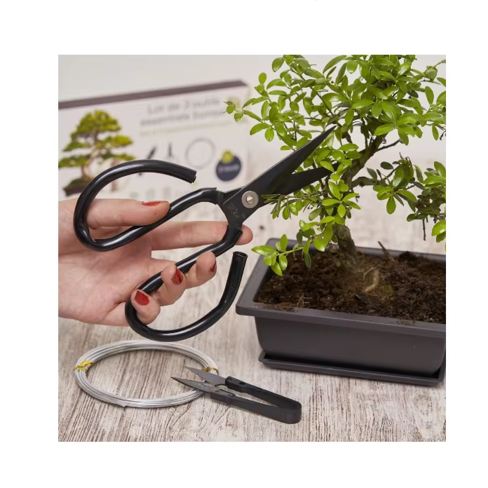 Unique Essential Bonsai Tool Kit Country Indoor Outdoor Garden Home Decoration Farmhouse Pot for Plant Nursery Use Hanging Floor