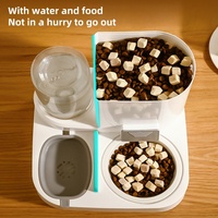 Distributeur automatique d'eau et de nourriture 2 en 1 pour animaux de compagnie, grande capacité, bol d'alimentation par gravité en acier inoxydable pour chat et chien, intérieur