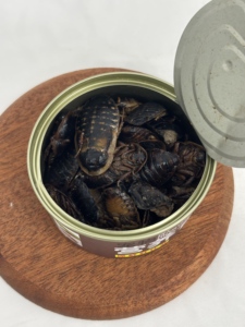 Blattus dubia frais emballés sous vide, prêts à <span class=keywords><strong>manger</strong></span>, nourriture pour reptiles, insectes - Product Image 1