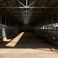 Poulailler en métal préfabriqué à construction rapide, structure en acier pour élevage de volailles