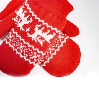 Mitaines d'hiver épaisses en acrylique pour enfant, motif animal personnalisé, mignonnes, chaudes, coupe-vent, design tendance, en polaire, pour Noël, usage quotidien, fête, décontractées