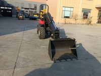 Caricatore Cinese a Batteria o Diesel con Pneumatici Fuoristrada, Capacità 1000KG con Funzione Telescopica