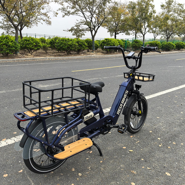 OEM Long Tail Cargo Electric Bicycle 750w Strong Power Dual Lithium Battery E Bicycle Hydraulic Disc Brake 7speed Electric Bike