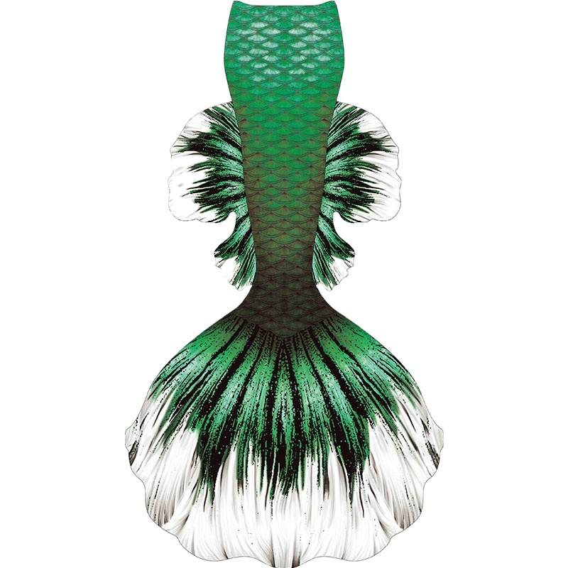 live betta fish wholesale thailand