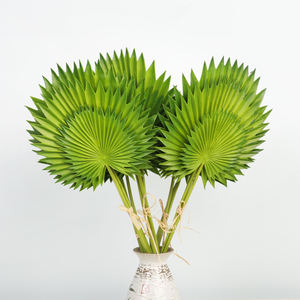 Foglia di materiale artificiale dell'unità di elaborazione singola foglia grande per la decorazione domestica foglie artificiali all'ingrosso dell'unità di elaborazione di alta qualità <span class=keywords><strong>in</strong></span> <span class=keywords><strong>vendita</strong></span> calda - Product Image 3