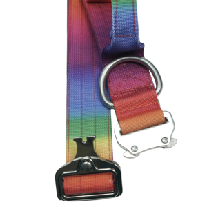 Collier pour chien robuste à dégradé arc-en-ciel avec boucle en métal de luxe pour chiens de taille moyenne à grande - Product Image 5