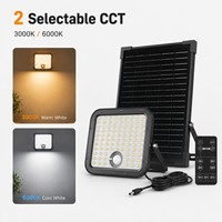 Fábrica de Iluminación Solar OEM ODM, Luces Solares Personalizadas para Jardín, Pared, Calle, Etiqueta Privada para Marcas, Importadores y Minoristas