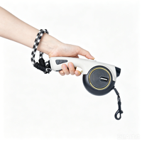 Laisse pour chien LED tendance avec rubans décoratifs à motifs unis, rechargeable par USB, 3 modes d'éclairage, réfléchissante, corde en nylon durable
