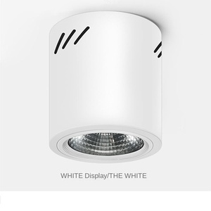 Downlights LED 7W 10W 12W 15W 20W 25W 30W personnalisés pour plafond de salon Source COB avec matériau en aluminium - Product Image 5