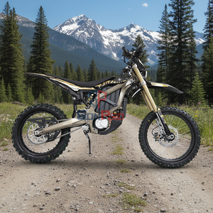 Motocicleta Eléctrica Todoterreno de Bajo Precio, Económica, Gonped Surron 2025 Ultra Bee, Todoterreno, Surron 2026 21kw - Product Image 6