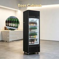 Réfrigérateur à double porte grande capacité, vitrine en verre plein écran, style usine, pour KTV et clubs, refroidisseur de bière, modèle populaire sur internet