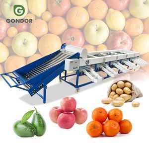 Trieuse de fruits à rouleaux pour la classification et le calibrage des fruits (Goyave, Mangue, Ail, Papaye, Kiwi, Olive, Grenade) - Product Image 1