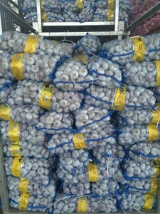 Maceta de ajo proporciona la mejor calidad de gran tamaño y 100% ajo seco orgánico empaquetado en caja fresca - Product Image 3