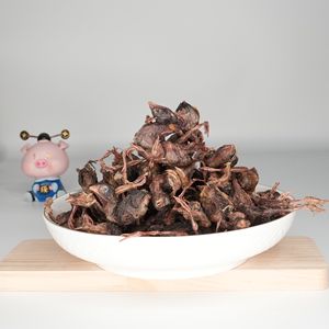 Заводская прямая сублимированная сушеная перепелка, полностью натуральные высокопротеиновые лакомства для собак, кошек и рептилий, питание для всей добычи - Product Image 2