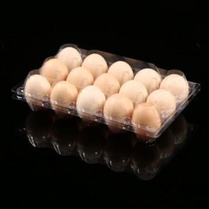 15 Egg Tray plastic egg tray quail egg tray