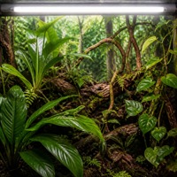 LuckyHerp T5 24W UVB5.0 Lampe UVB Spirale en Verre pour Reptiles Écologique Économie d'Énergie 22 pouces 7000-8000K 8000 heures CRI