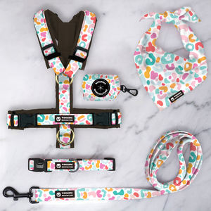 <span class=keywords><strong>Pet</strong></span> Boutique OEM/ODM regolabile gilet cane imbracatura senza tirare Perro guinzaglio e collare Set petto altri Set di imbracature per cani personalizzati - Product Image 2