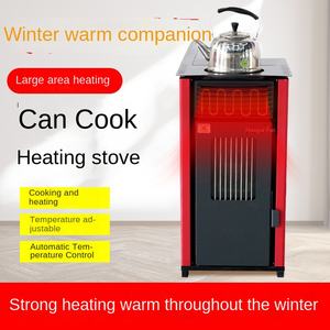 Chimenea de pellets de interior independiente de hierro fundido de diseño moderno con estufa de explosión caliente de Biomasa con control remoto - Product Image 3