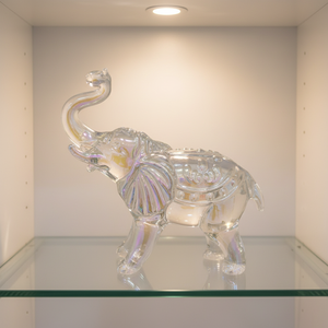 Dôme en verre soufflé artisanal, thème animaux volants, décoration intérieure, Rajasthan, Mini-monde en verre, Noël, Nouvel An Chinois, Rentrée scolaire - Product Image 5