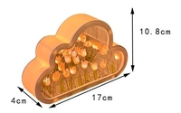Lampe Nuage Mignonne avec Lumière LED Infinie, Veilleuse Tulipe, Lampe Miroir de Table DIY en Forme de Fleur de Tulipe pour Utilisation Extérieure