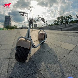 1500W Mini <span class=keywords><strong>bicicleta</strong></span> eléctrica eléctrico <span class=keywords><strong>de</strong></span> la motocicleta para adultos aprobación Ce con la pantalla LED - Product Image 4