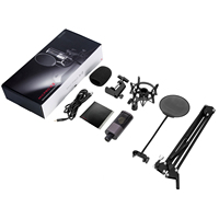 Microphone de studio professionnel portable X2 USB à condensateur cardioïde 3,5 mm avec bras articulé pour ordinateur, suppression du bruit 20Hz-20kHz