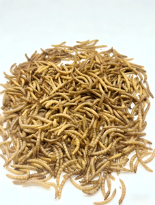 Vermi Essiccati Certificati ISO22000 HACCP, Alimento Naturale Monocomponente <span class=keywords><strong>per</strong></span> Piccoli Animali, Vendita all'Ingrosso - Product Image 2