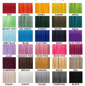 <span class=keywords><strong>2025</strong></span> biểu tượng tùy chỉnh và màu sắc da Dây Xích Chó và Paracord Nylon Dây Xích Chó sang trọng với xoay Carabiner cá nhân thiết kế - Product Image 5