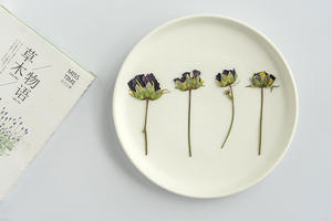 Calliopsis-flores prensadas para hacer artesanías, flores naturales respetuosas con el medio ambiente - Product Image 2