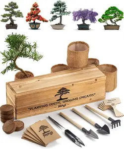 Kit completo de árbol de bonsái de inicio para interiores, 5 árboles de bonsái japoneses únicos con macetas, semillas, herramientas para cultivar Macetas