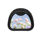 Amplificateur vocal portable rechargeable, design mignon en forme de chat, microphone filaire avec casque, haut-parleur portable
