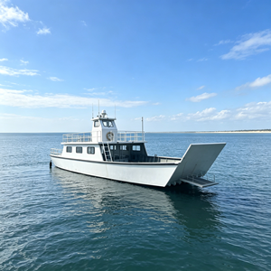 Ferry de débarquement en aluminium haute vitesse de 15 m, capacité de 40-50 passagers, avec deux moteurs diesel de 200 CV pour le transport côtier de passagers - Product Image 1