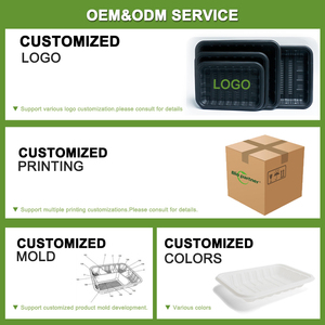 Fabricante de almidón de maíz, bandejas de exhibición de carne negra envasadas congeladas, carne, verduras, frutas, supermercado, embalaje Punnet - Product Image 4