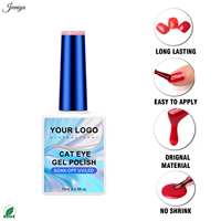 Nouvel Arrivage Kit de Gel Ongles Effet Œil de Chat Scintillant avec 2 Pinceaux Double Embout et 1 Baguette Magnétique pour Vente en Gros aux Salons