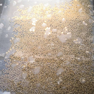 300-600 kg/giờ đậu nảy mầm bong bóng máy giặt rau đậu nành thương mại máy giặt Rau - Product Image 2