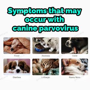 Canino <span class=keywords><strong>Parvo</strong></span> vírus antígeno teste CPV Kit teste veterinário, Kit de teste do cão, Pet Hospital Medical <span class=keywords><strong>Testing</strong></span> Equipment - Product Image 6