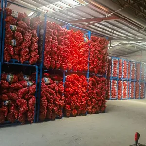 100% Fresh Chinese Red Onion Yellow onions from Top Rank Exporter