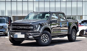 फ्रंट ग्रिल कार बंपर फोर्ड F150 रैप्टर अन्य बाहरी सामान काले प्लास्टिक बम्पर 2021 2022 2023 - Product Image 6