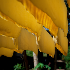 Ngoc Chau Direct Vietnam Caoutchouc naturel de qualité supérieure à haute durabilité (RSS1 RSS3) Feuilles fumées nervurées pour pneu médical - Product Image 1