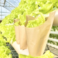 Usine Personnaliser Vivre Hydroponique Basilic Laitue Légumes Herbes Fraîches Emballage Recyclable Manchon