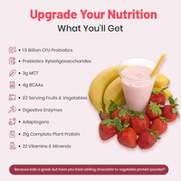 Batido Vegano Sustituto de Comida OEM, Proteína Vegetal en Polvo - Sabor Fresa y Plátano, Probióticos, Vitaminas, Suplementos de Fibra Dietética