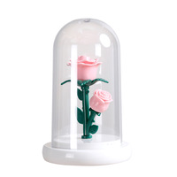 Veilleuse LED créative à la main ornement de fleur de Rose éternelle créative pour anniversaire saint valentin fleurs préservées plantes
