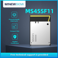 Módulo Bluetooth MinewSemi MS45SF11 NRF5340, Alcance Máximo de Transmisión de 300, Módulo Inalámbrico BLE de Doble Núcleo con 1MB+256KB de Memoria Flash