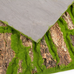 Mousse artificielle OEM Dll650 pour décoration extérieure : gazon synthétique, lichens, peaux d'arbres de pin, pour jardin et aménagements verts - Product Image 4