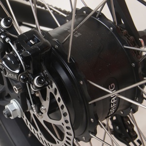 Kit Bici Elettrica Vintage 48V 20Ah 1000-2000W, Bici Elettrica Retrò Fat Bike - Product Image 4
