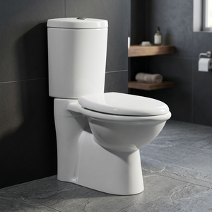 Inodoro de cerámica económico de dos piezas con descarga directa y asiento de cierre suave, artículos sanitarios para baño - Product Image 1